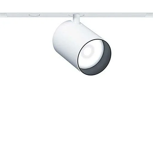 Zumtobel Group - Downlight/Strahler/Flutlicht LED - Akzentstrahler SUP2 M 1/L #42927627 3000K dim weiß