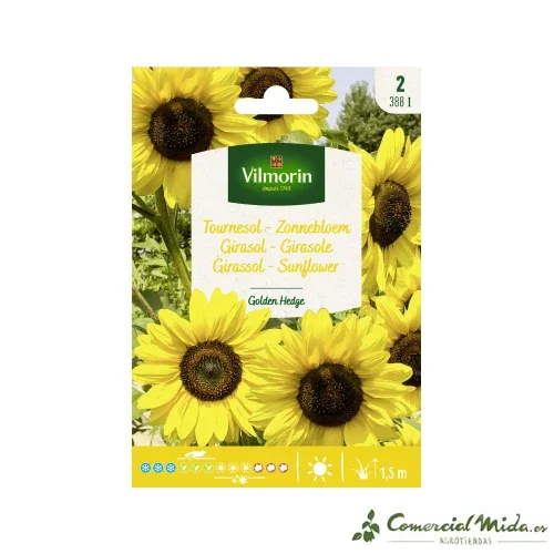 VILMORIN Semillas Girasol Golden Hedge