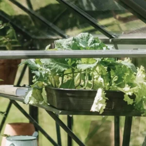 Schap Kate V Tuinkas, Groengrijs - Royal Well